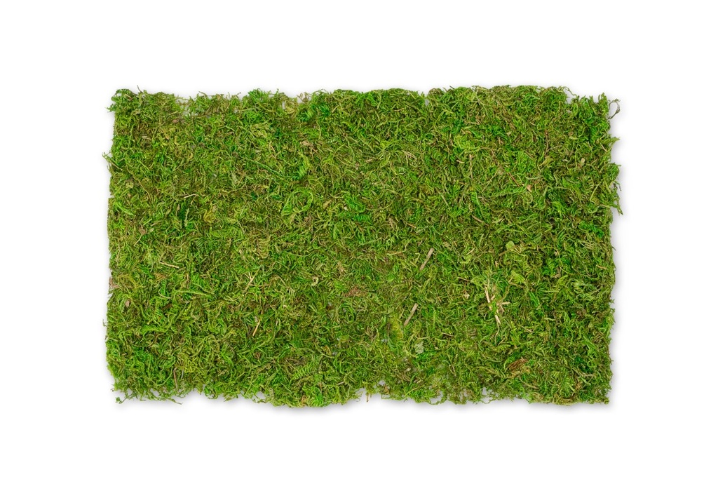 Moosplatte 30x18 cm Asia Moos Moosbild Mooswand Moosmatte Deko Natur Naturdeko