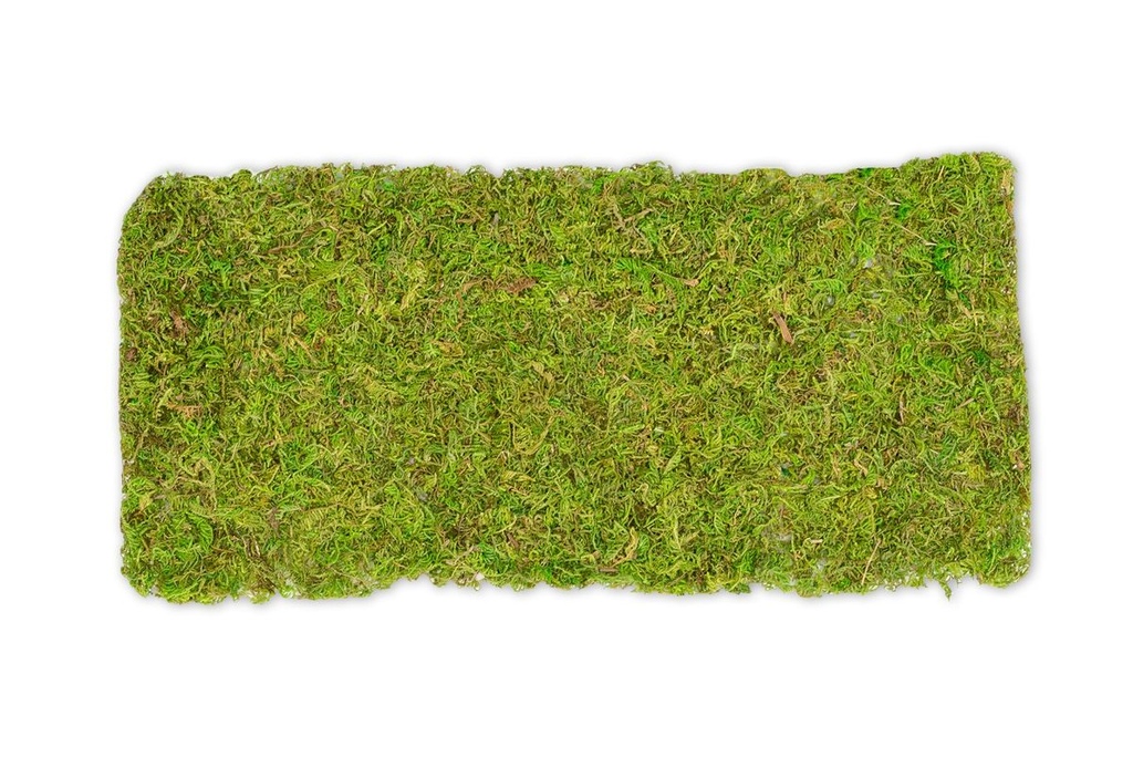 Moosplatte ca. 38x18cm | Moosmatte