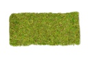 Moosplatte ca. 38x18cm | Moosmatte