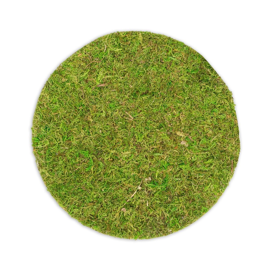 Moosplatte rund Ø 25 cm, echtes Asia-Moos für Moosbild Deko Natur Naturdeko