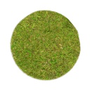 Moosplatte rund Ø 25 cm, echtes Asia-Moos für Moosbild Deko Natur Naturdeko
