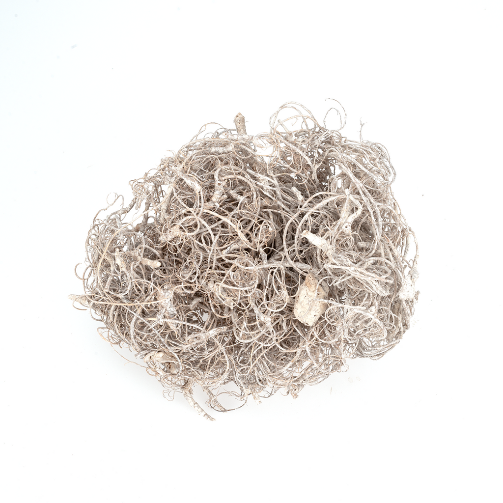 Curly Moos weiß ca. 50 g Dekomoos Tamarindenfaser Basteln Floristik Modellbau