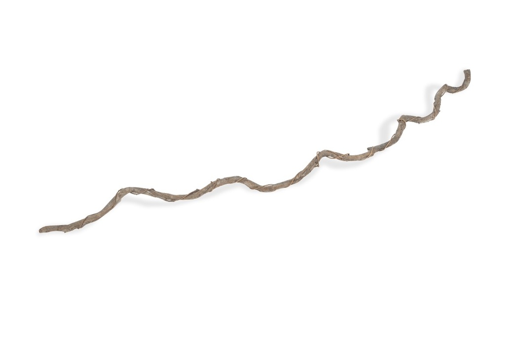 Drachen Liane umwickelt Weiß ca. 180 - 200cm