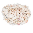 Muschelmix weiß 1 kg 1-6 cm weiße Muscheln Schneckenhäuser Hochzeit Deko maritim