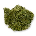 Curly Moos moosgrün ca. 50 g Dekomoos Tamarindenfaser Basteln Floristik Deko