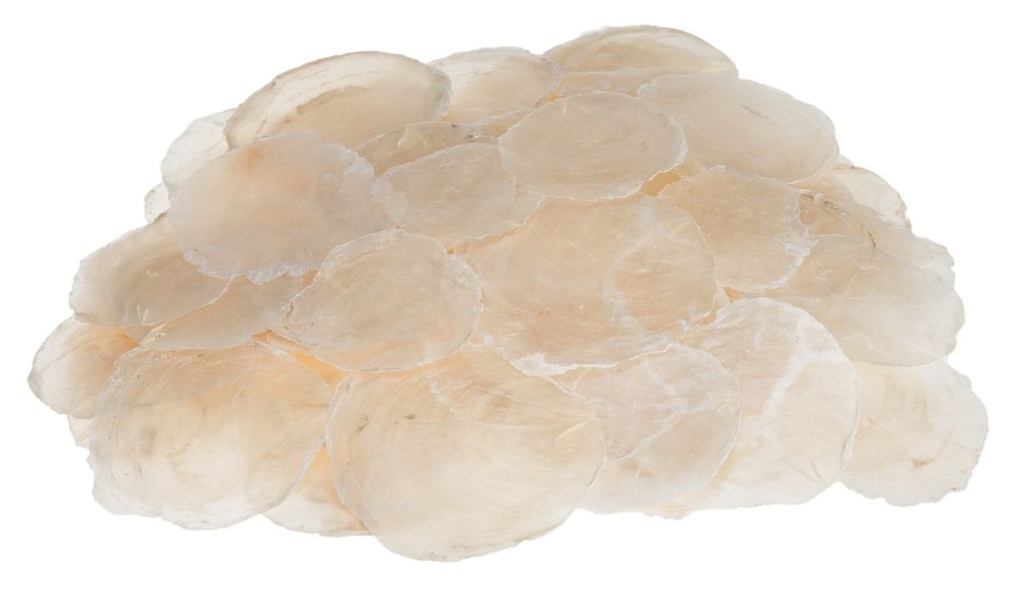 Camar Perlmuttscheiben natur 0,5 kg Muschelscheiben durchscheinend Deko Basteln