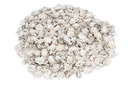 Patelloida saccharina 0,5 kg 1-2 cm Napfschnecken sternförmig Mosaik Basteln