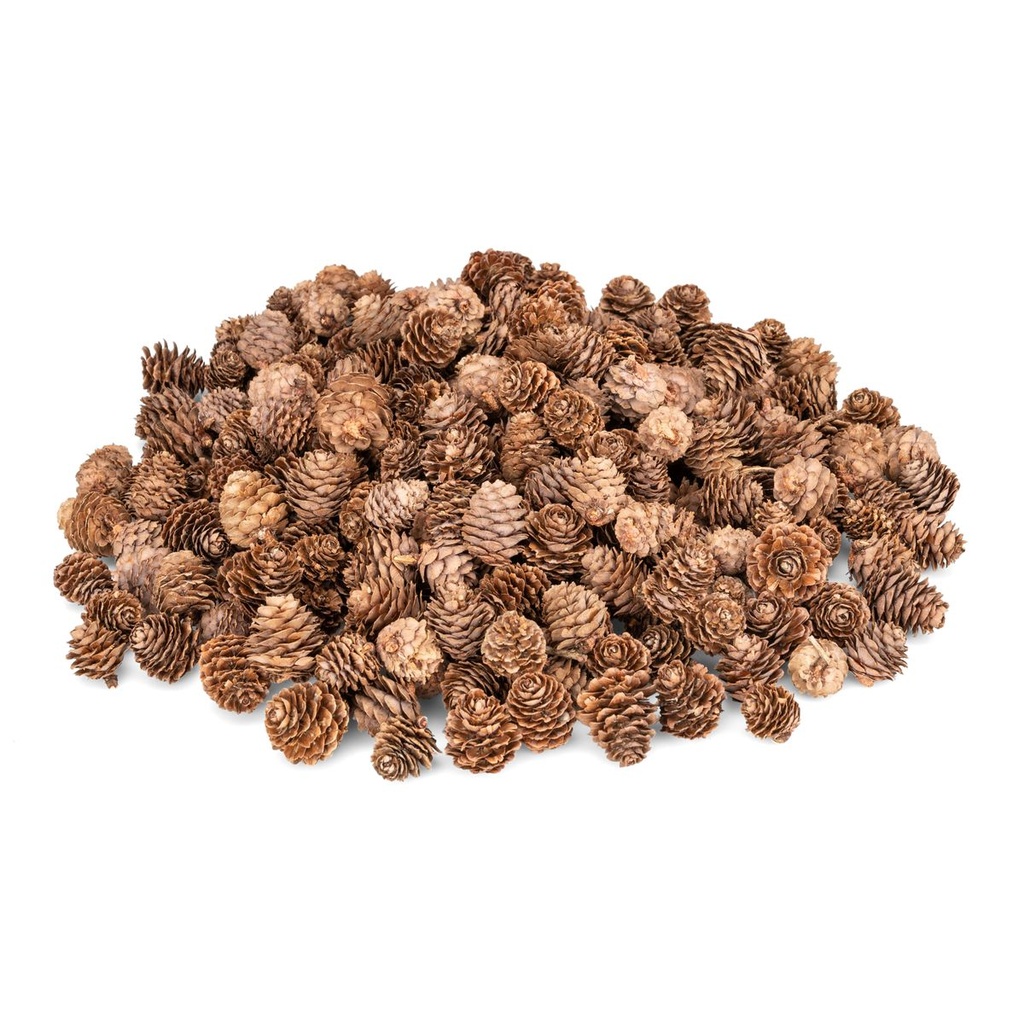 Lärchenzapfen natur 0,5 kg 175-200 Stück 2-3 cm kleine Zapfen Deko Basteln Kranz