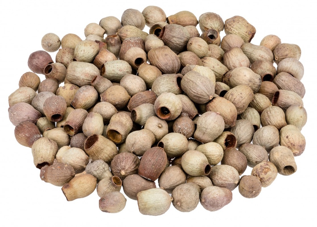 Eukalyptus calophylla 0,5 kg 2-5 cm Honkynut Eukalyptusfrüchte Kranz Deko Natur