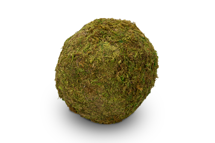 Moos Ball Ø 20cm | Moos Kugel