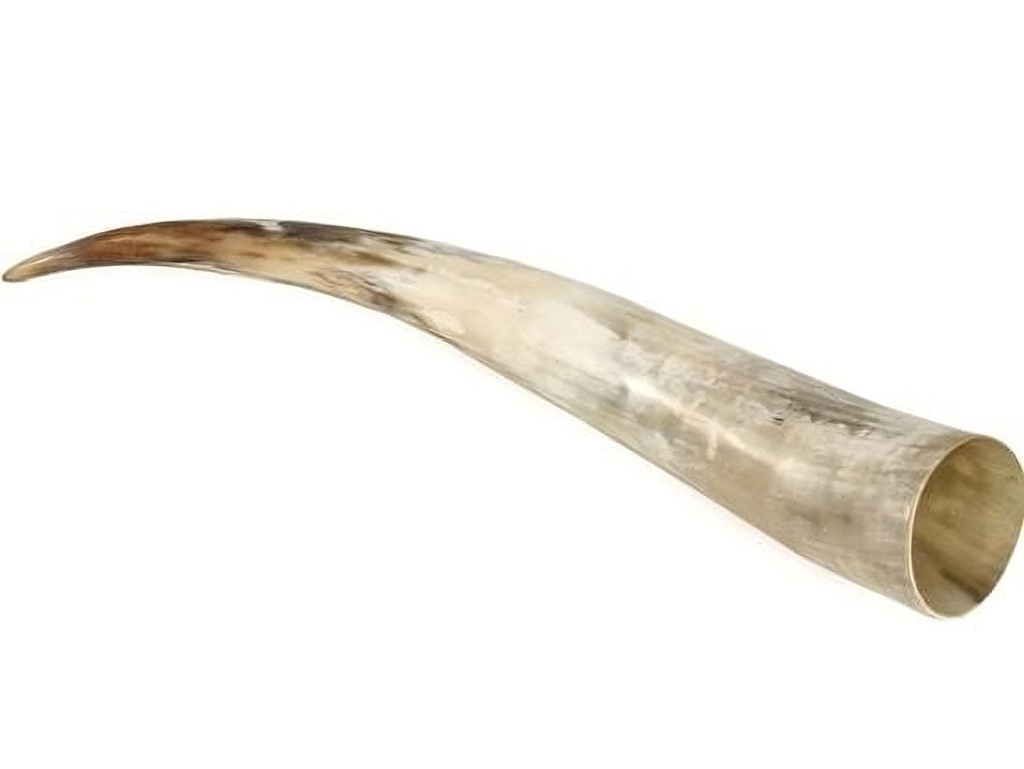 Rinderhorn poliert 60-69cm