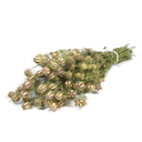 Nigella getrocknet im Bund ca. 60cm | Nigella damascena