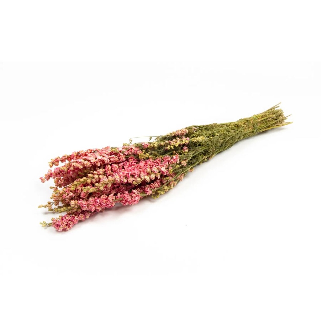 Delphinium natur pink im Bund ca. 60cm | Rittersporne getrocknet