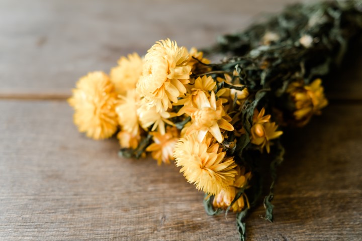 Helichrysum, naturbelassen, in Gelb, im Bund, Länge ca. 50 Zentimeter
