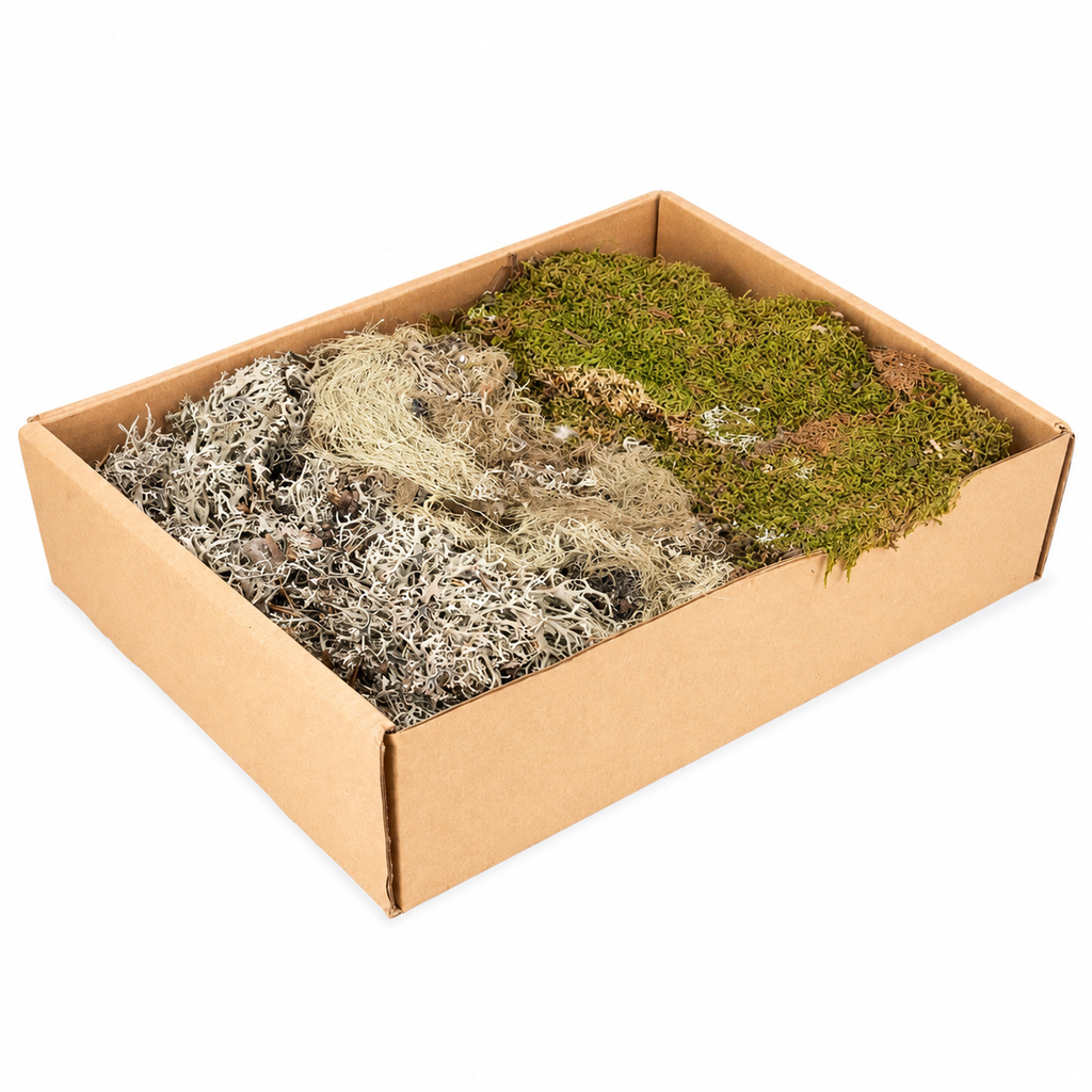 Deko Moos Mix 650 g Naturmoos Bastelmoos Floristik Modellbau getrocknet