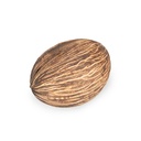 Mintola Ball natur 8-12cm Cerbera odollam Dekofrucht Schalen Deko Floristik