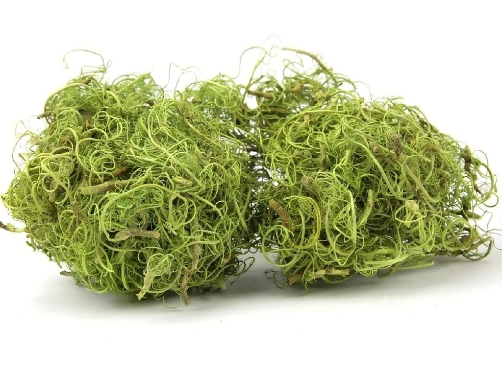 Curly Moos grün ca. 50 g Dekomoos Tamarindenfaser Basteln Floristik Modellbau
