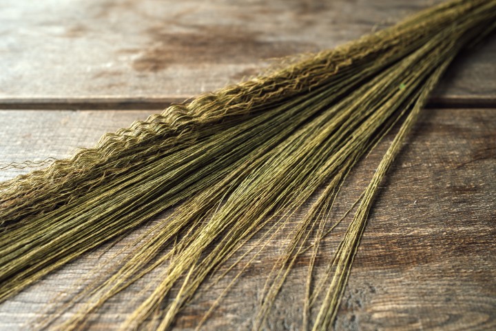 Federkorngras im Bund 3 Stiele, ca. 100 cm, Dekogras Natur Naturdeko Dekoration