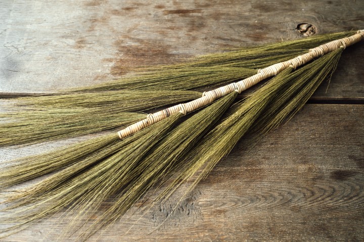 Federkorn Gras mit Bambustiel, Länge ca. 120cm | Stem Grain Grass