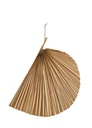 Palmblatt halbiert Natur 31 x 45 cm getrockneter Palmenwedel Wanddeko Boho