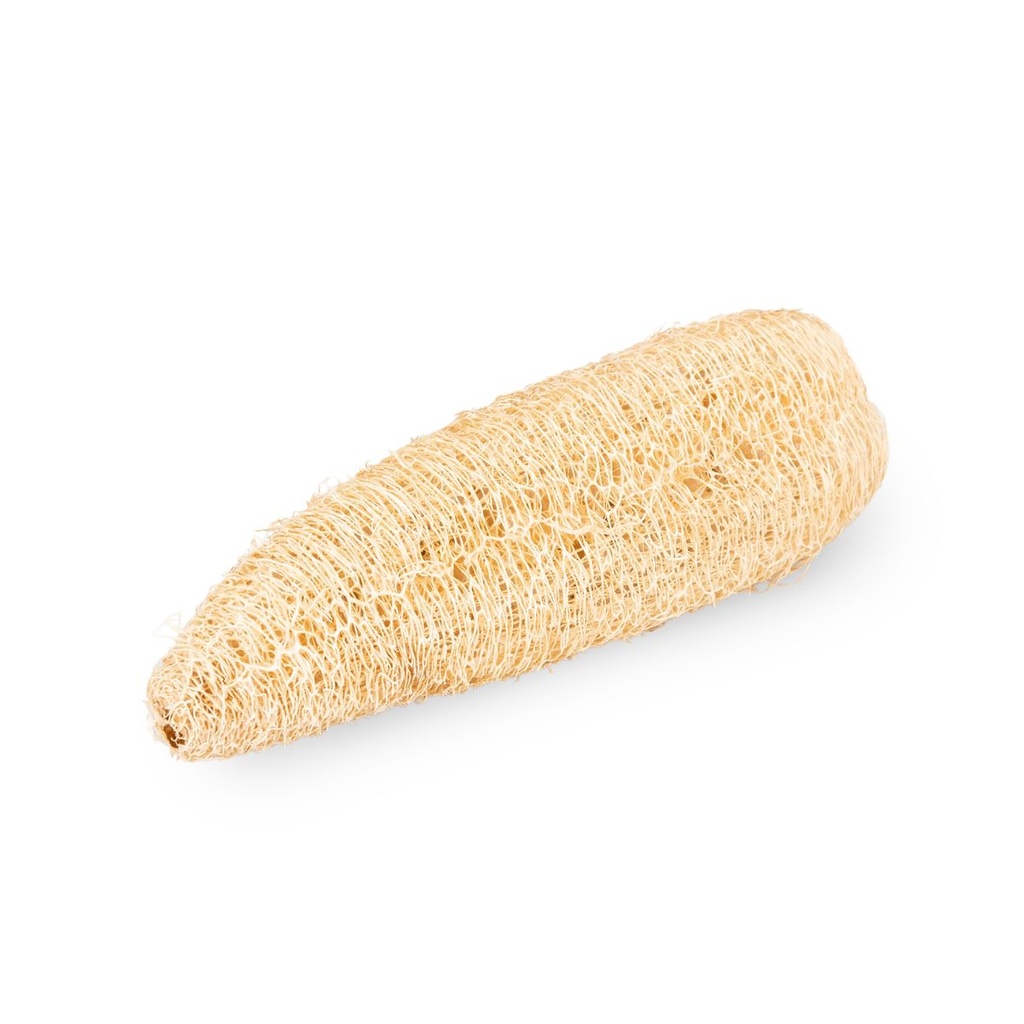 Luffa aegyptiaca geschält 12-16 cm Schwammgurke Luffaschwamm Seife Peeling Natur