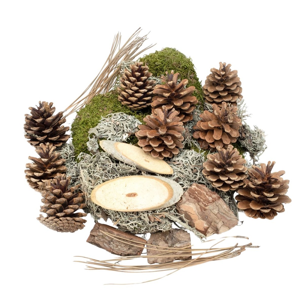 Wald-Potpourri in einer Packung mit 450g | Herbstdeko-Mix