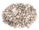 Echinellopsis grandinatus 0,5 kg 1-3 cm ca. 200-250 Stück Turbanschnecken Deko