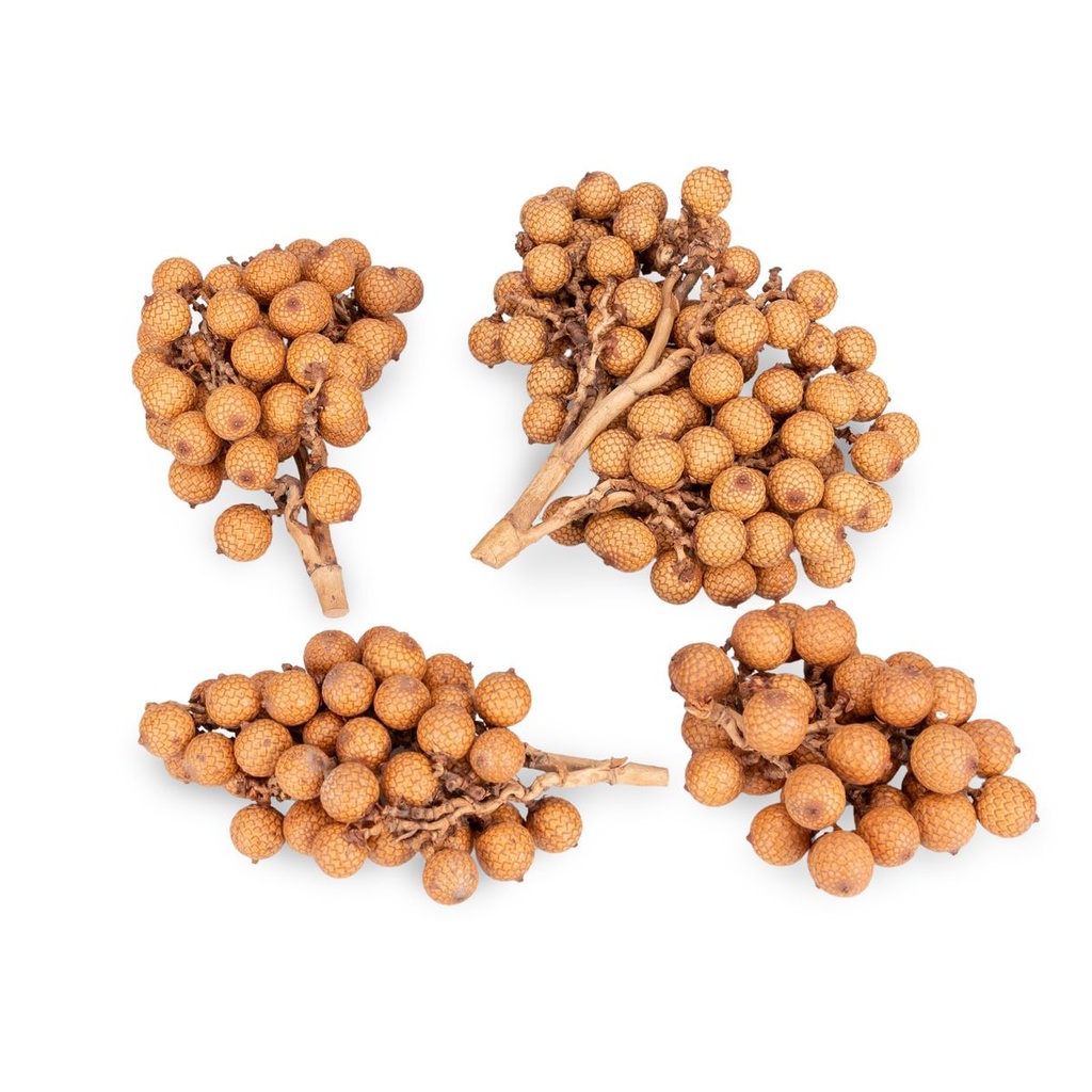 Rattan-Frucht-Zweige 500 g, getrocknet mit Früchten Deko Natur Naturdeko DIY