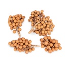Rattan-Frucht-Zweige 500 g, getrocknet mit Früchten Deko Natur Naturdeko DIY