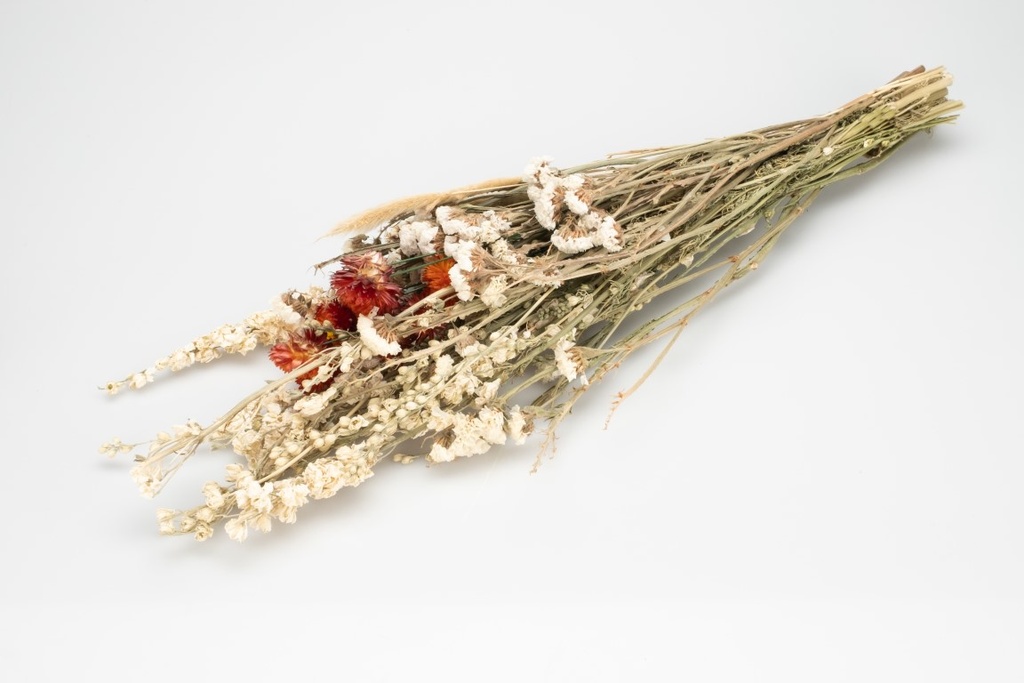 Trockenblumenstrauß "Dutch Colorful", Größe ca. 55 cm | Boho-Trockenblumen