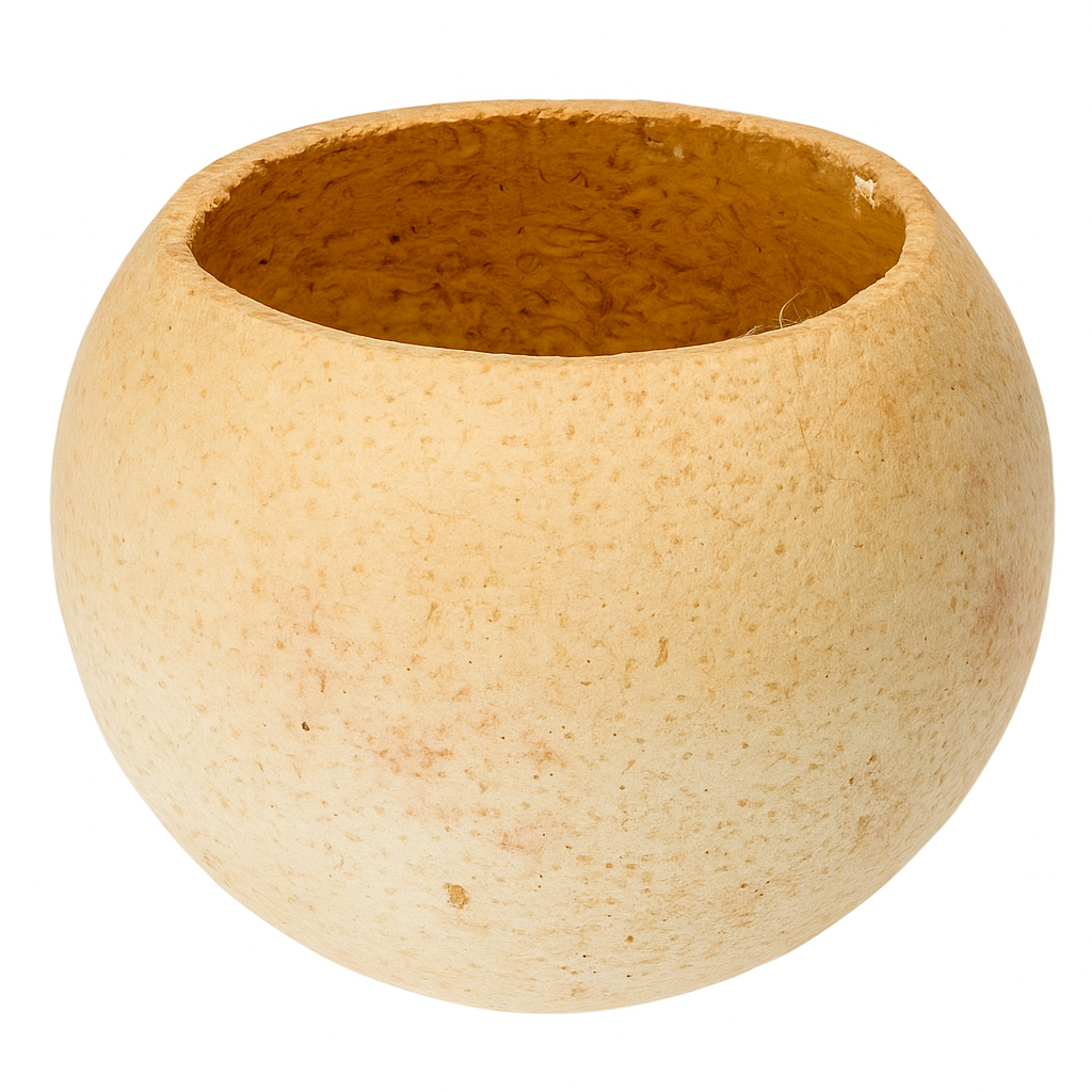 Bell Cup Ø 5-6 cm Aegle marmelos Schale Naturschale Kerzengießen Terrarium Deko