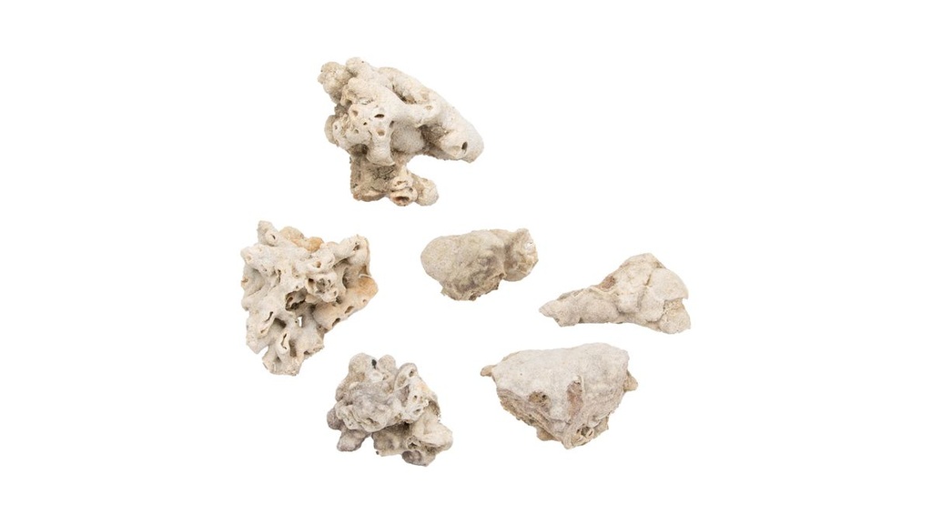 Sahara-Steine in Natur, Größe ca. 5 - 10 cm, Gewicht ca. 450g | Natursteine