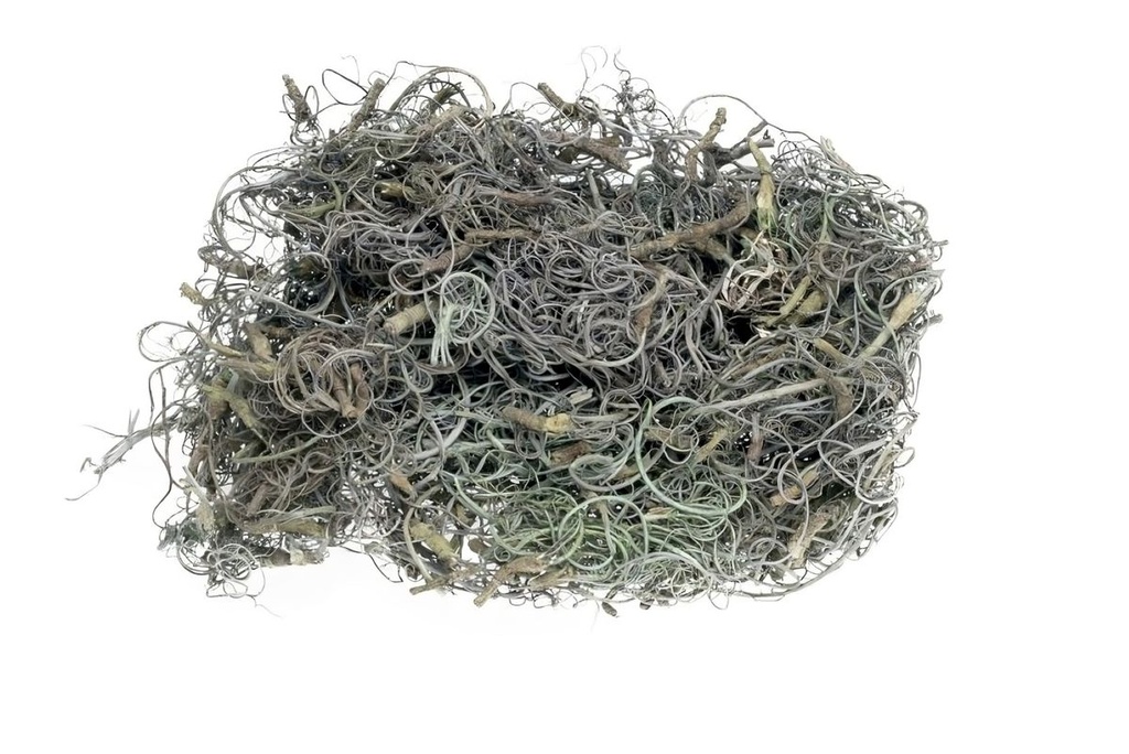 Curly Moos grau ca. 50 g Dekomoos Tamarindenfaser Basteln Floristik Modellbau
