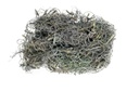 Curly Moos grau ca. 50 g Dekomoos Tamarindenfaser Basteln Floristik Modellbau