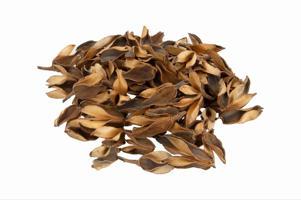 Bata caixa Natur, ca. 4-7cm, verpackt mit 200g | Salvertia convallariodora | Streudeko | Naturdeko zum Basteln und Dekorieren | Exotische Dekoration | DIY | Exotische Torraumdekoration