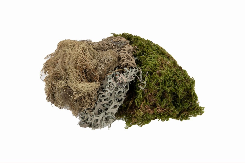 Deko-Moos-Mix bestehend aus Lappenmoos, Mooshaar und Moosflechte, Menge ca. ± 75g | Deko-Moos