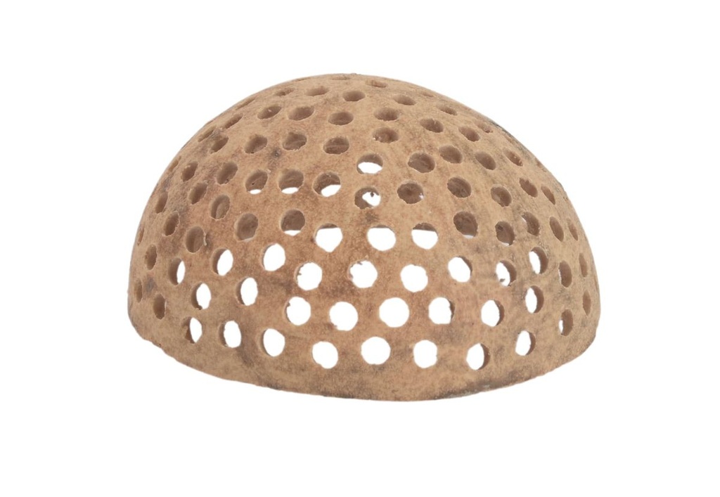 Bell Cup gelocht Ø 4-6 cm Aegle marmelos Naturschale perforiert Terrarium Deko
