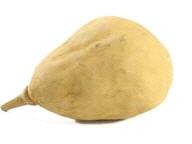 Baobab Frucht ocker 9-12 cm Adansonia digitata Affenbrotbaum exotisch Afrika