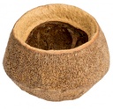Sapucaia groß Ø 10-14 cm Paradiesnuss Affentopf Lecythis ollaria Deko Natur