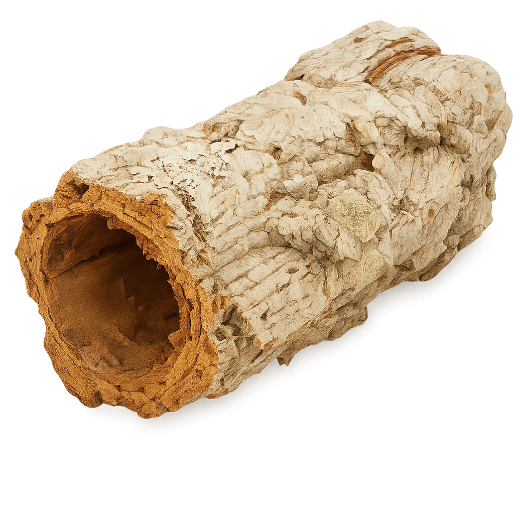 Korkröhre Maxi 20 cm Naturkork Korkrinde Terrarium Voliere Höhle Deko Basteln