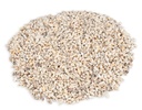 Pyrene philippinarum 0,5 kg 1-1,5 cm ca. 1000 Stück Mini Schneckenhäuser Basteln