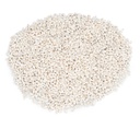 Pyrene philippinarum gekocht 0,5 kg 1-1,5 cm ca. 1000 Stück Mini Schnecken Deko