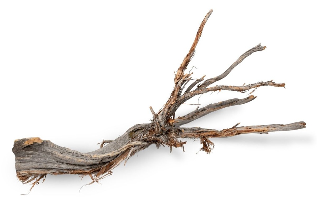 Ghostwood Baum Natur mit Rinde ca. 90cm hoch