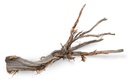 Ghostwood Baum Natur mit Rinde ca. 90cm hoch