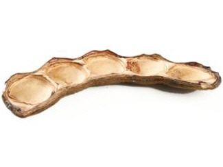 Velvet Bean natur 7-14 cm Mucuna pruriens Samtbohne Samenschote exotisch Deko