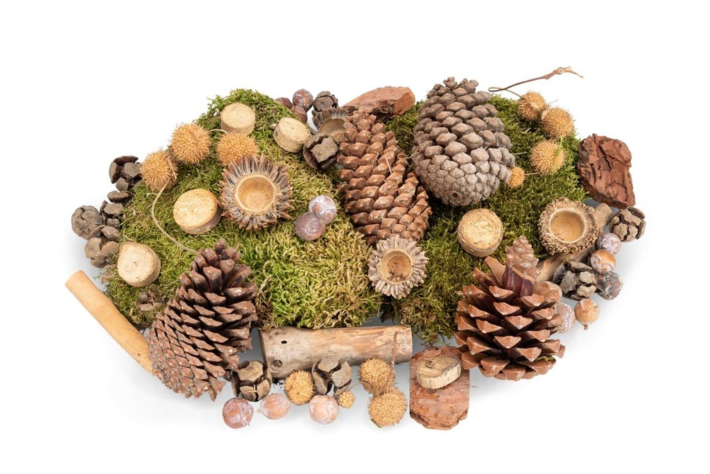 Wald-Potpourri ca. 450g mit Maritima Tannenzapfen, Baumrinde, Lappenmoos, Platanbällen, Dekoästen, Zeereichel Fruchtbecher, Zypressen und Estrelinia Zapfen