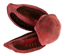 Sororoca Frucht rot ca.10-15cm