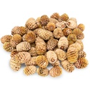 Leucadendron sabulosum Zapfen 0,5kg (ca. 50–70 Stück) Naturdeko aus Südafrika | Trockenblumen für Boho Hochzeit, Trauerfloristik, DIY Basteln, rustikale Tischdeko & florale Dekoideen