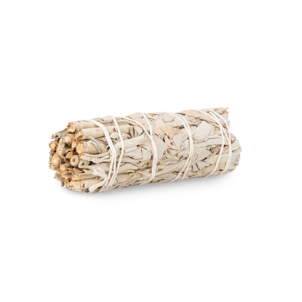 Weißer Salbei 25-30 g, ca. 10 cm, Salvia apiana Bündel Deko Natur Naturdeko