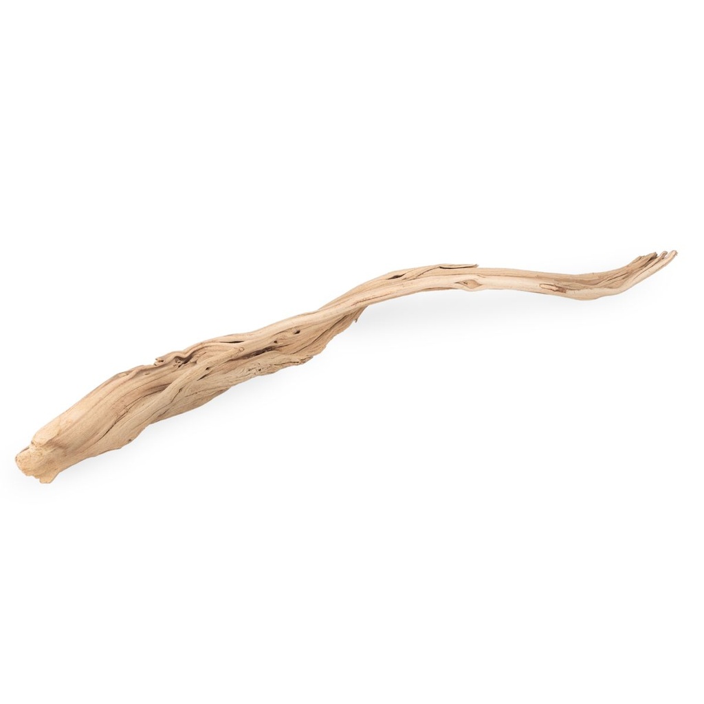 Ghostwood Zweig 100-120 cm sandgestrahlt Dekoast Bodenvase Terrarium Voliere